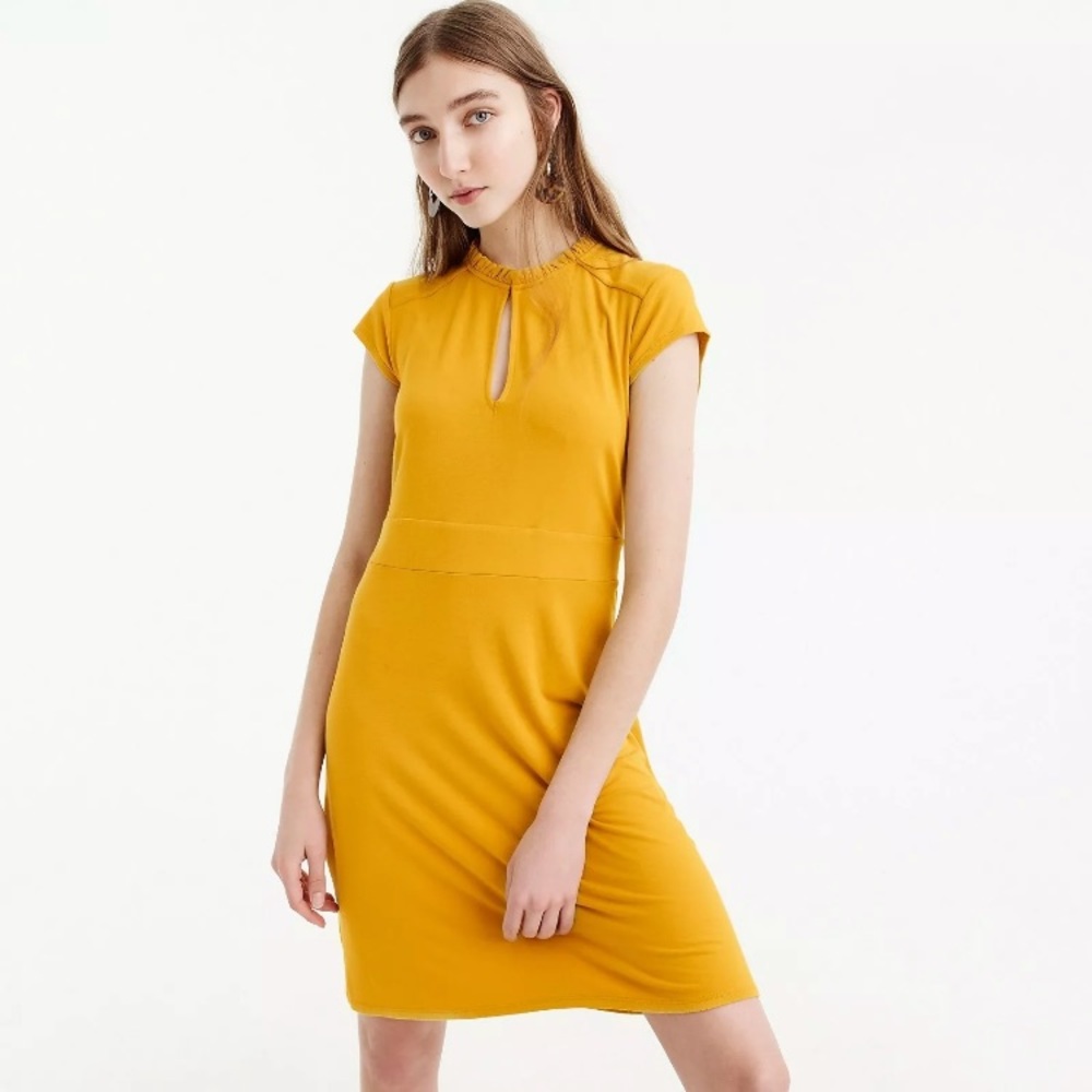 NWT J Crew button collar short sleeve dress xs